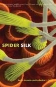 spidersilk