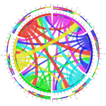 circos-table-vcmqzuqrand-large